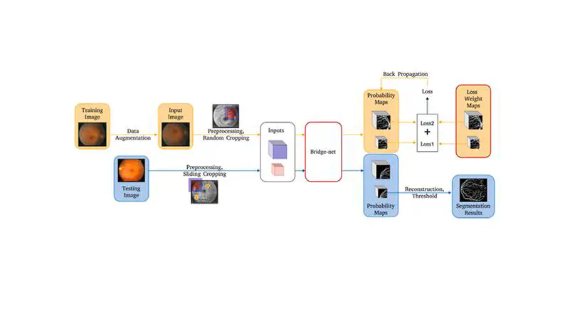 [ESA'22]Bridge-Net: Context-involved U-net with patch-based loss weight mapping for retinal blood vessel segmentation