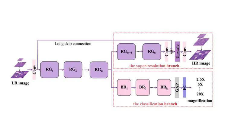 [BSPC'23]MMSRNet: Pathological image super-resolution by multi-task and multi-scale learning