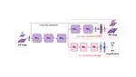 [BSPC'23]MMSRNet: Pathological image super-resolution by multi-task and multi-scale learning