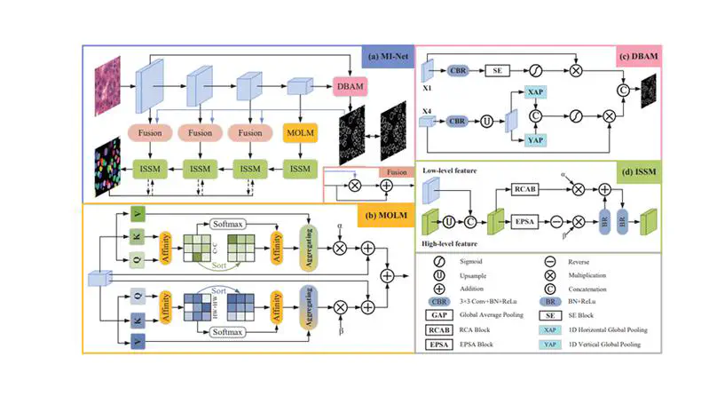 [ICASSP'23]Multi-Object Localization and Irrelevant-Semantic Separation for Nuclei Segmentation in Histopathology Images