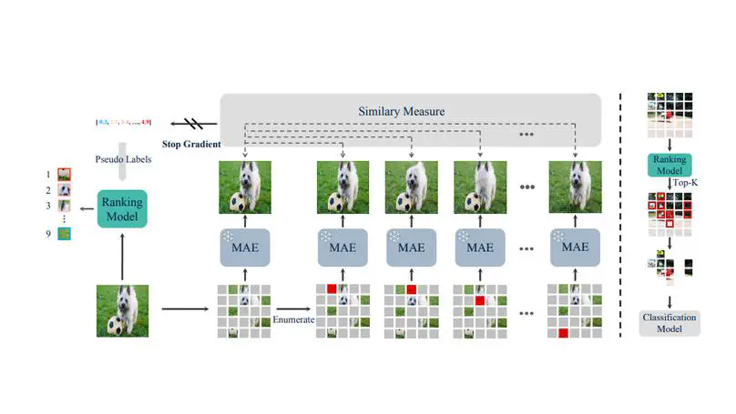 [CVPR'24]Learning to Rank Patches for Unbiased Image Redundancy Reduction